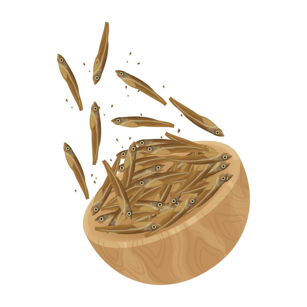 levitation dried anchovies vector