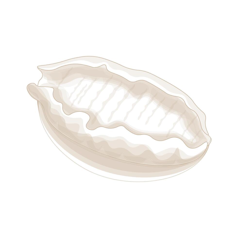 Simple line art abalone vector