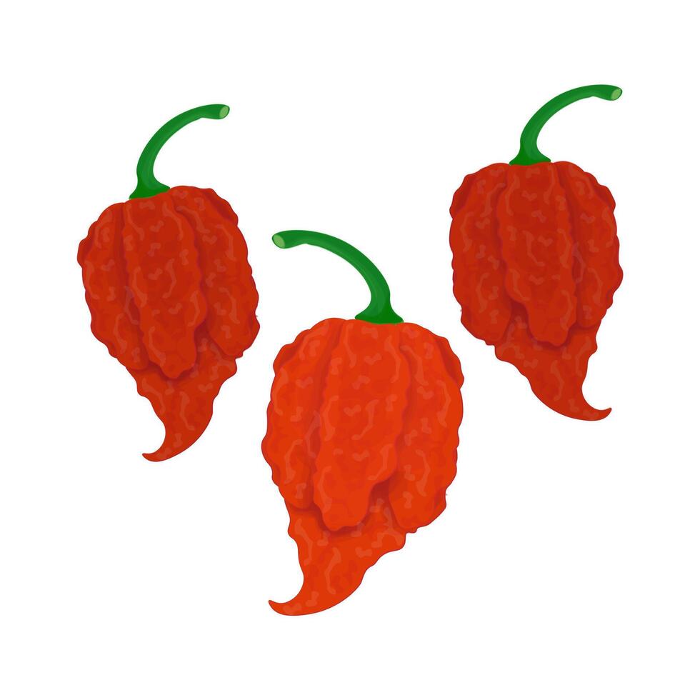 Fresh red carolina reaper vector