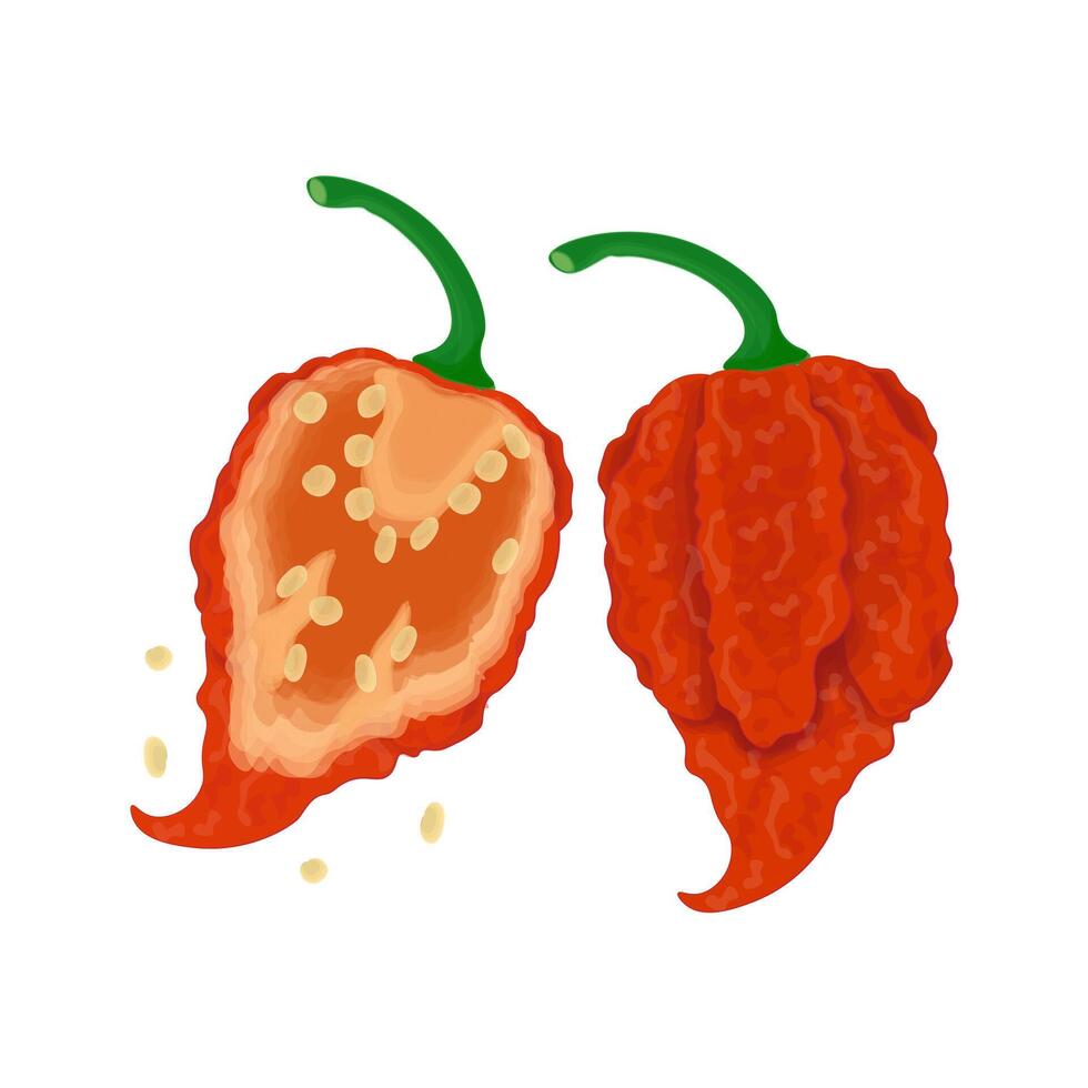 Whole and half carolina reaper chili vector