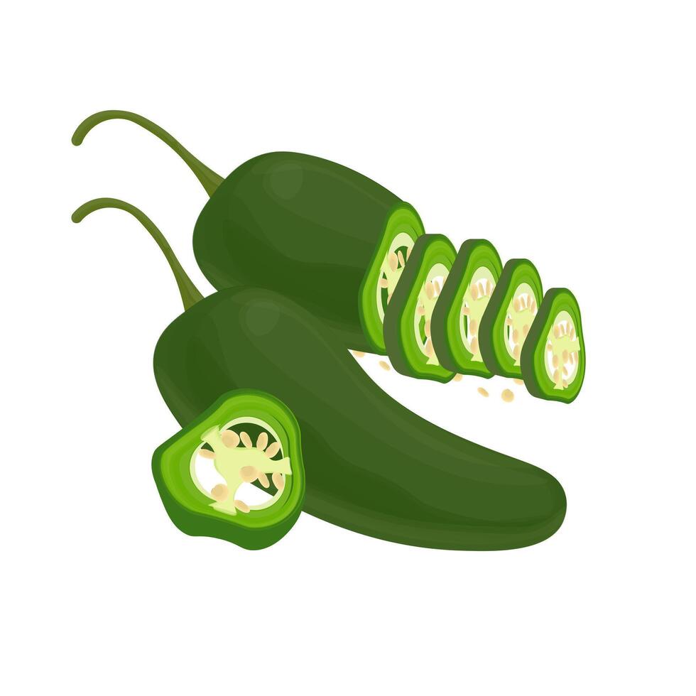 todo y rebanada verde jalapeño pimientos vector