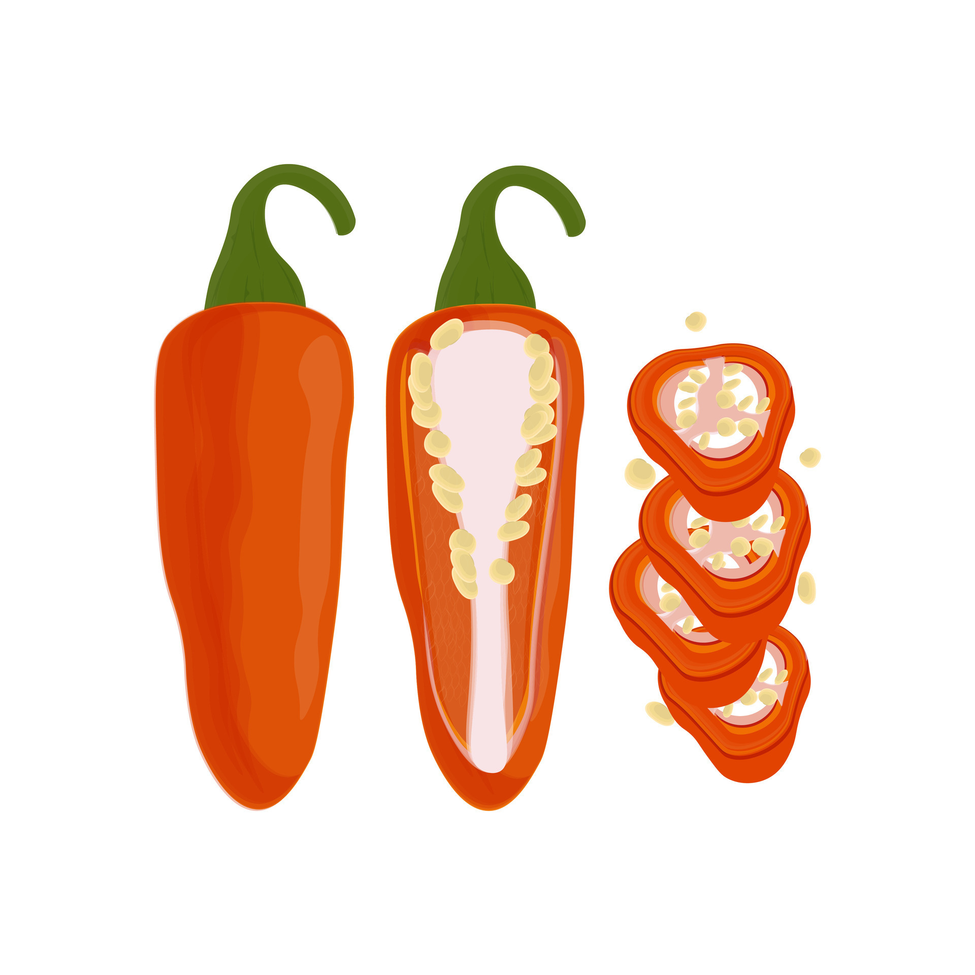 Red jalapeno peppers 44842476 Vector Art at Vecteezy
