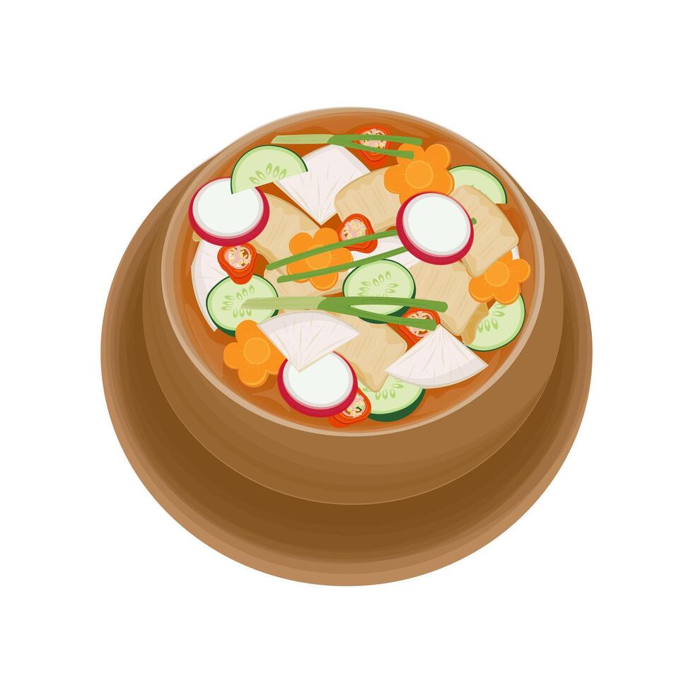 Nabak kimchi or korean water kimchi vector