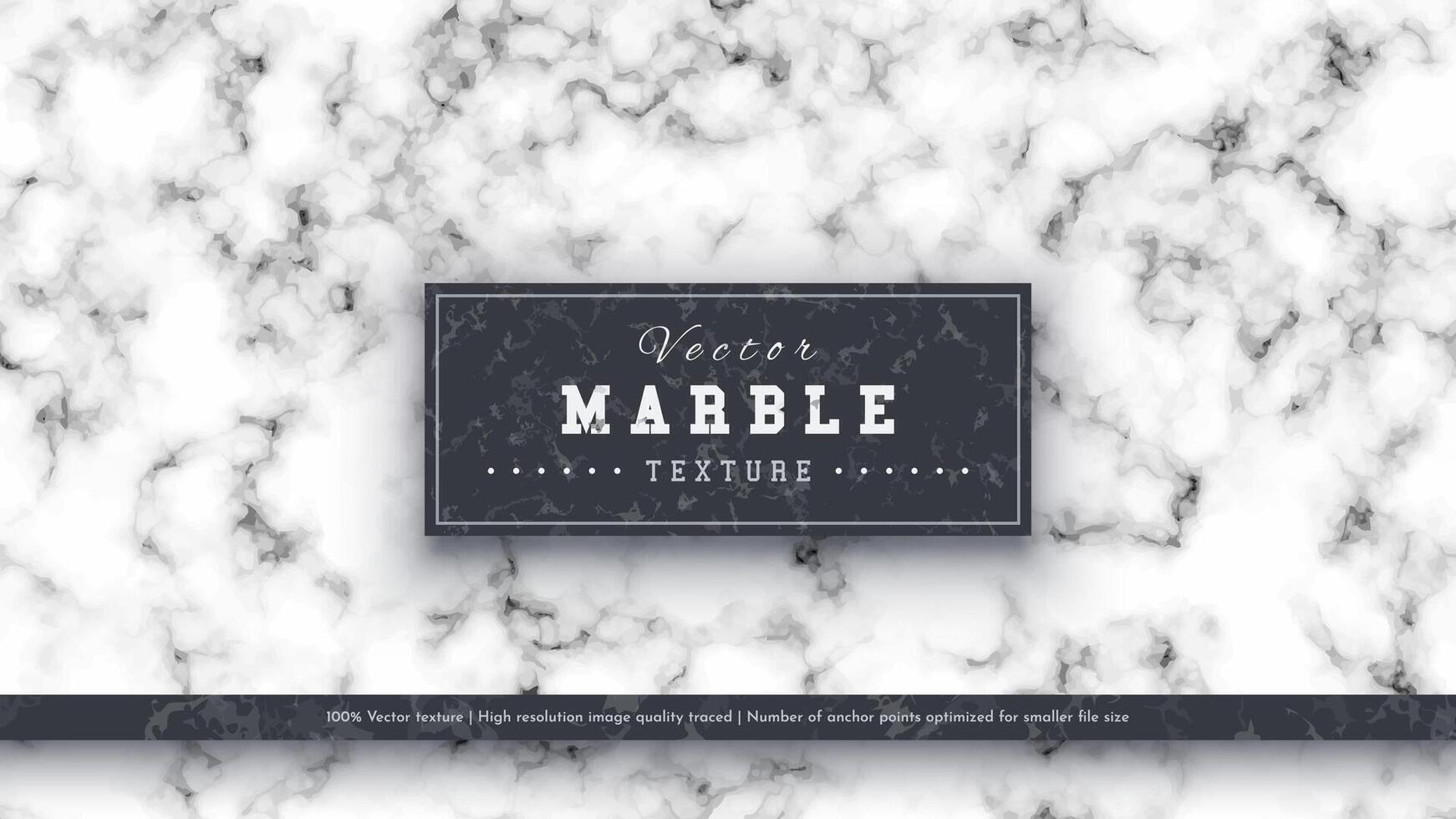 Marble Luxury Texture vector