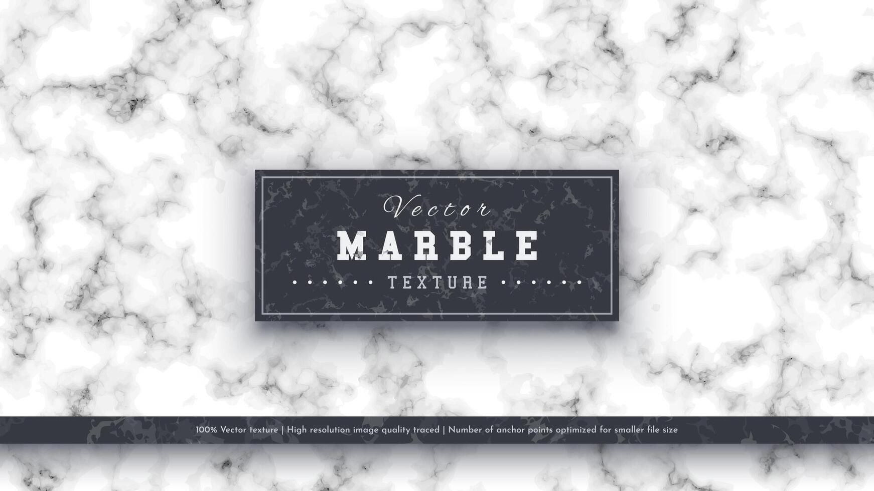 Marble Luxury Texture vector