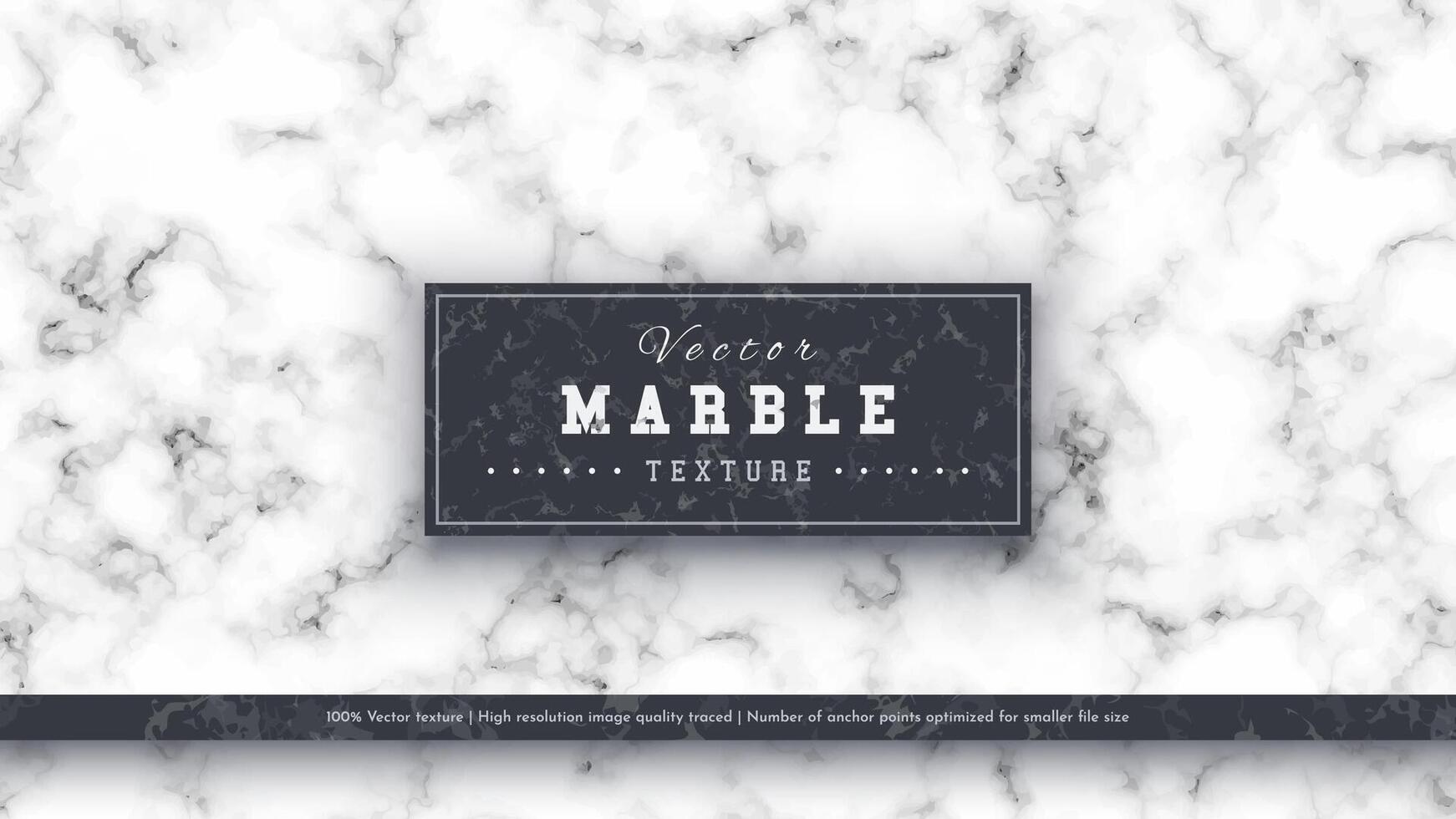 Marble Luxury Texture vector