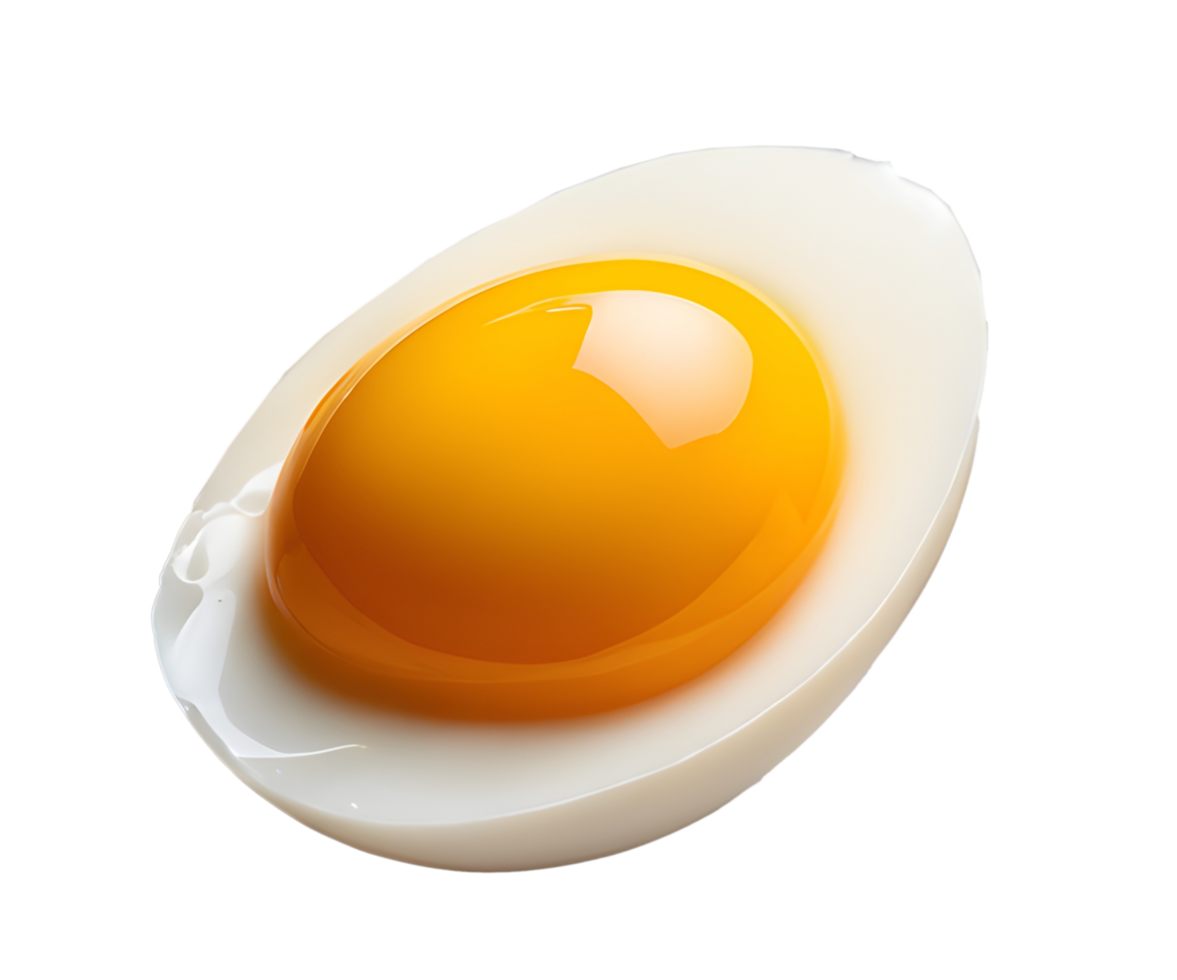 Fresh egg with yolk in egg shell illustration. AI-Generated png