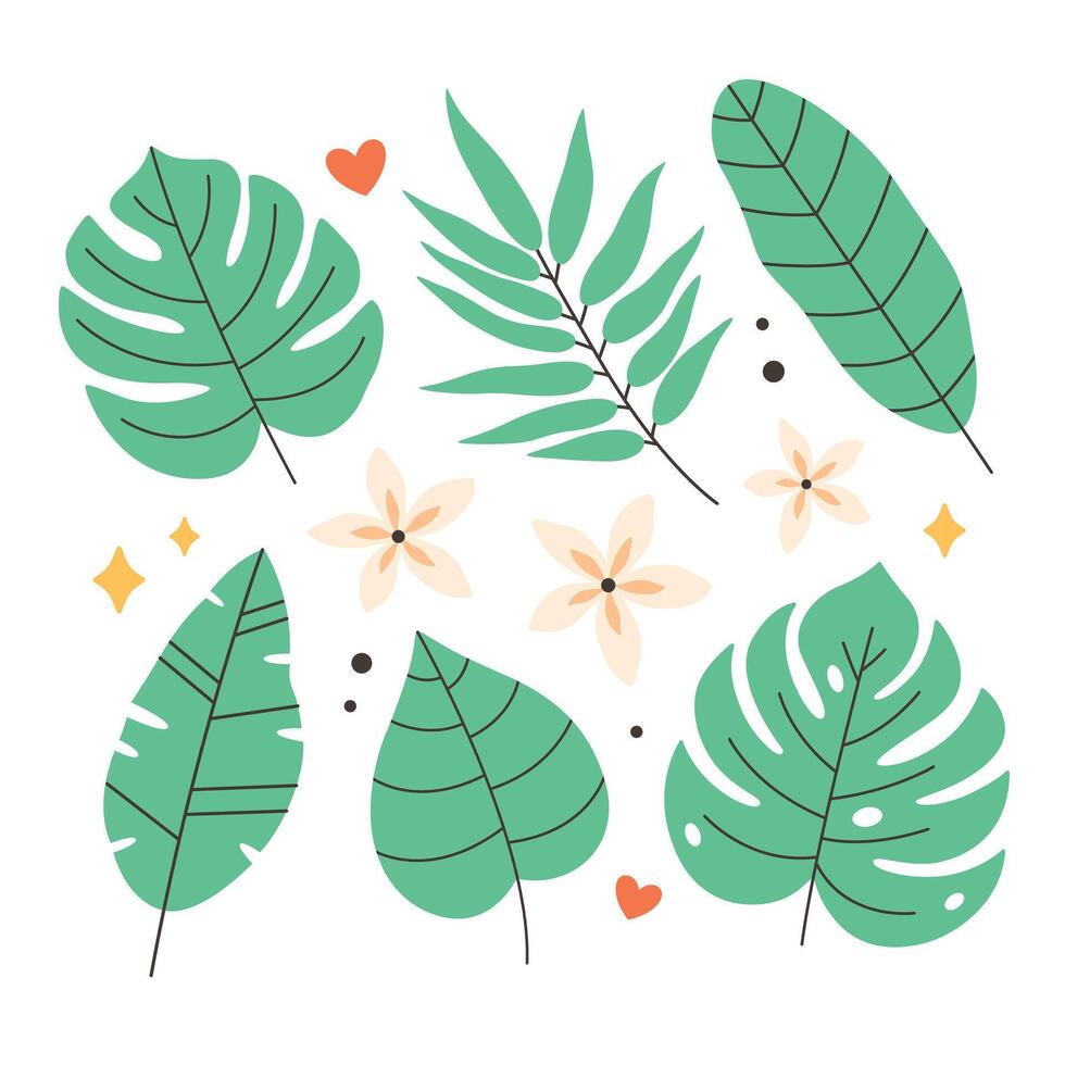 Tropical leaves and flowers collection. Summertime, tropical place vector