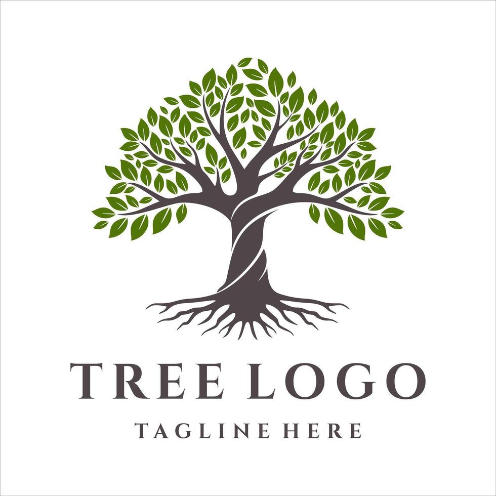 Tree of life logo design isolated on white background vector