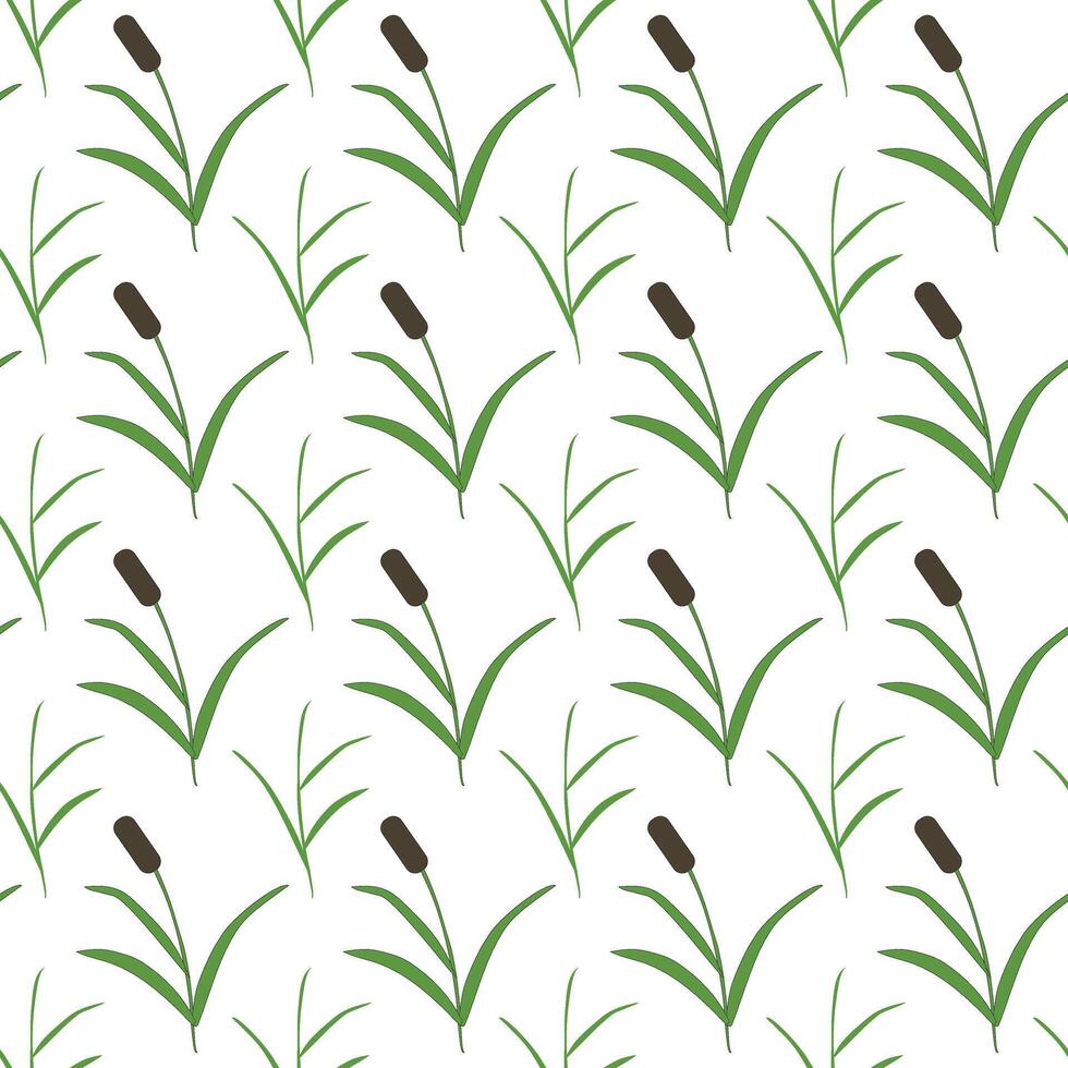 Swamp reeds, simple grass. Seamless pattern. illustration. vector