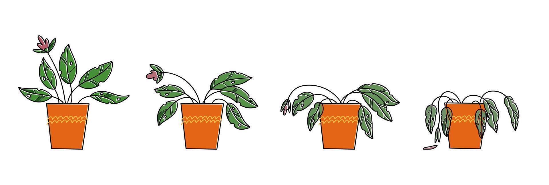 Stages of withering, a wilted plant in a pot, abandoned houseplant without watering and care vector