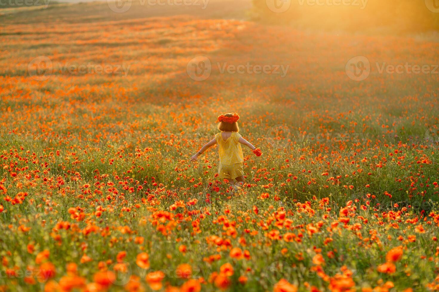 Happy girl poppy field walks under the evening sun. Back view photo