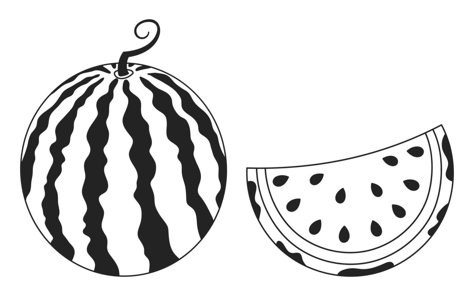 Watermelon isolated on white background. Hand drawn illustration. vector
