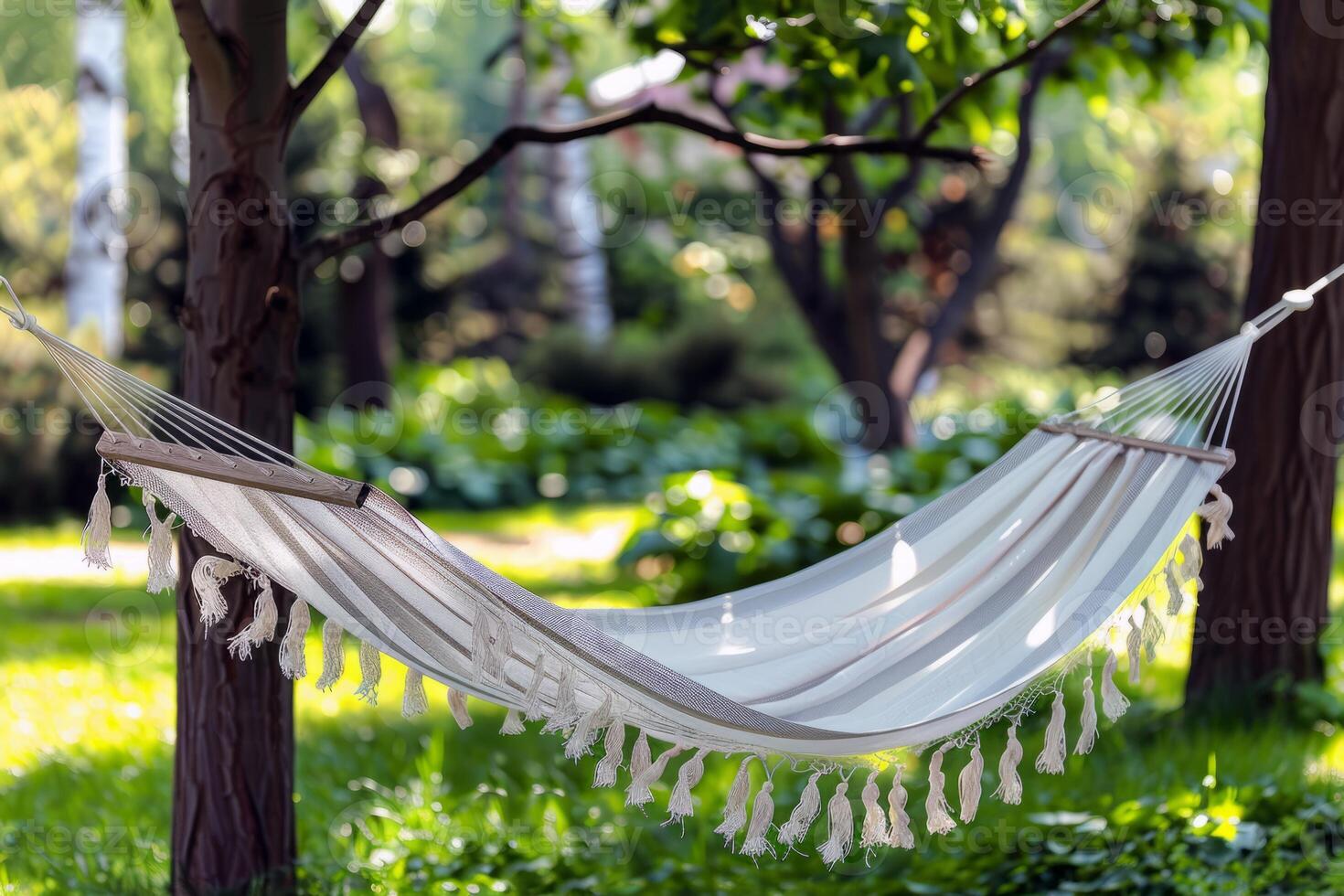 Woman relaxing in a hammock strung between two palm trees, a book in her hand photo