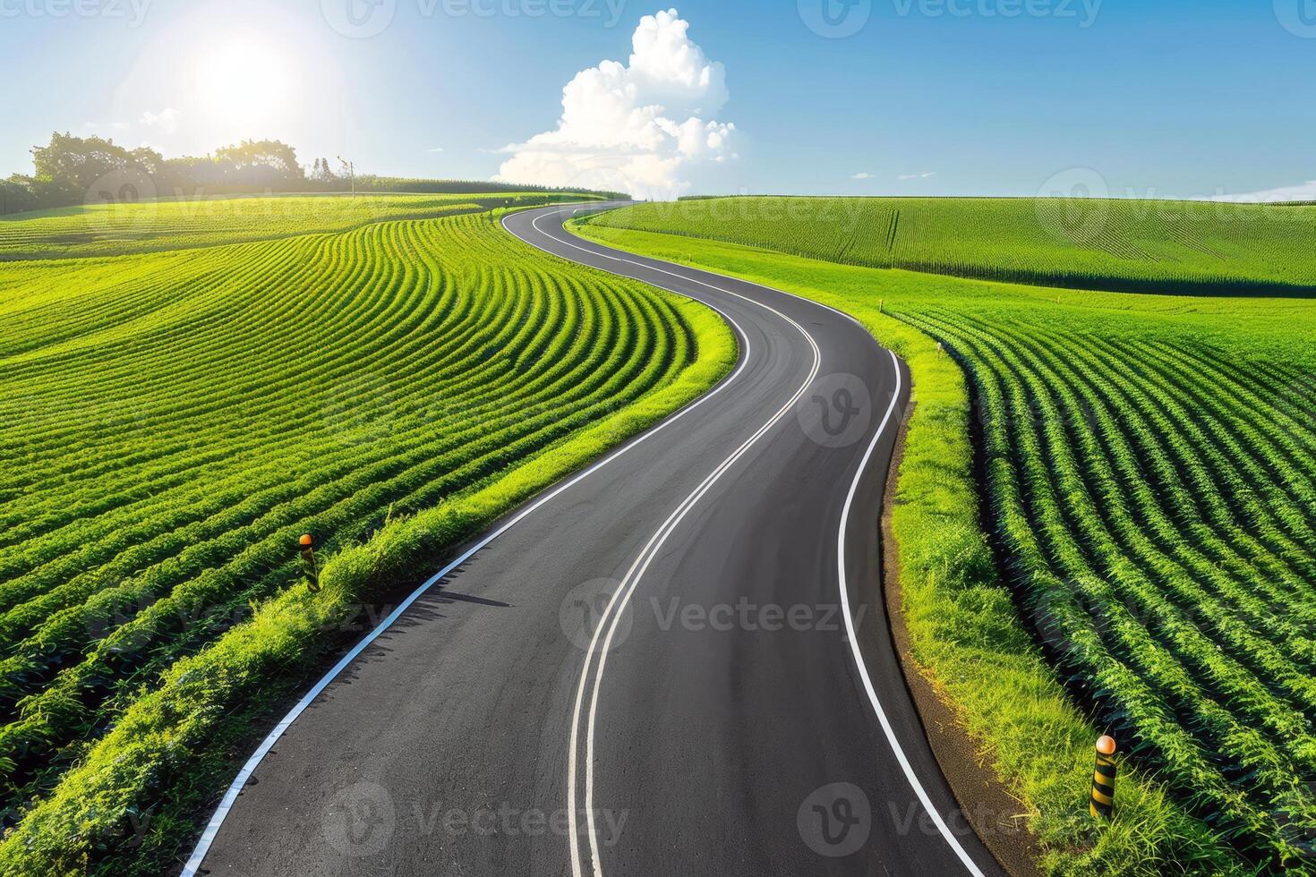 Road trip through country roads, surrounded by fields of sun-kissed crops in the height of summer photo