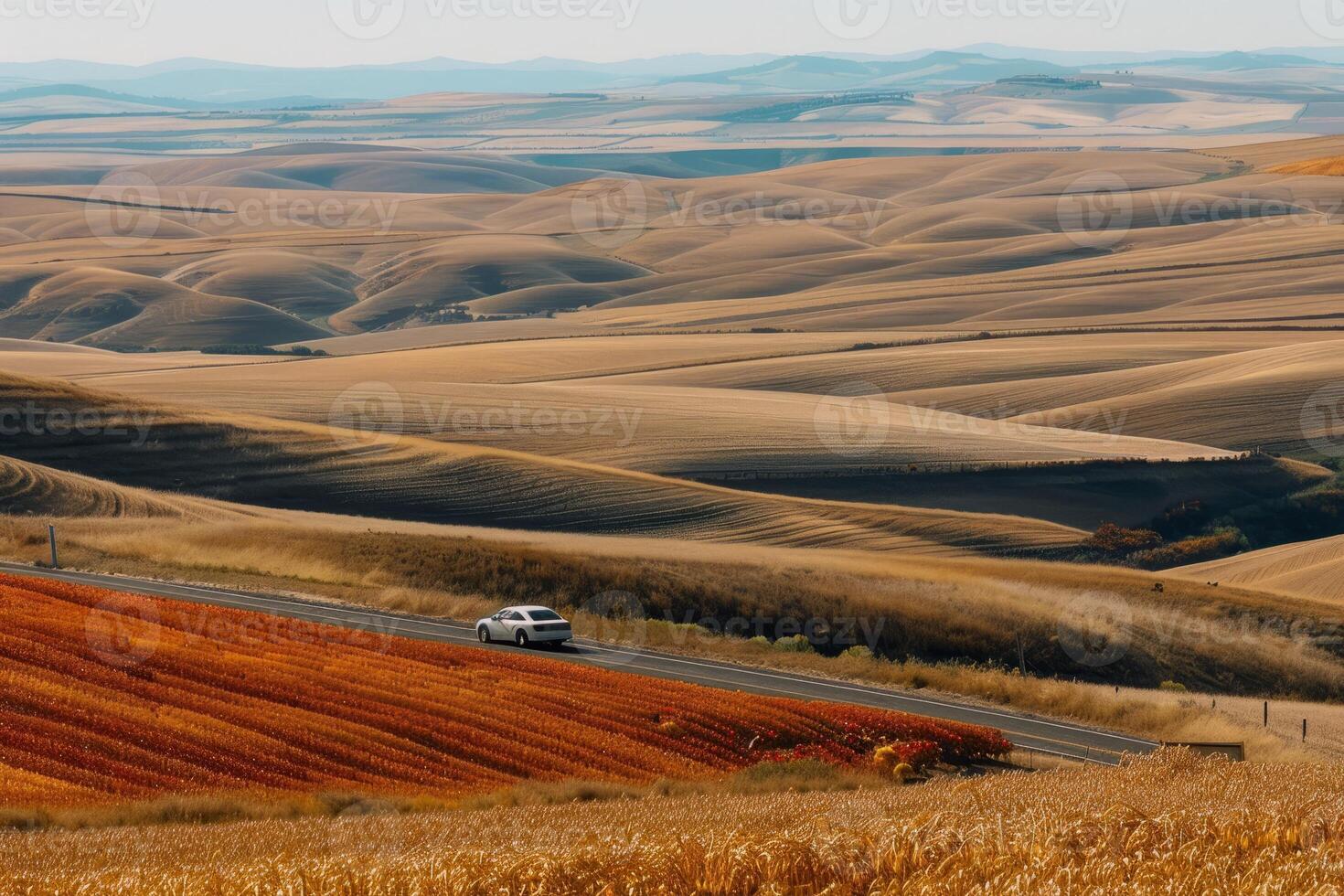 Road trip through country roads, surrounded by fields of sun-kissed crops in the height of summer photo