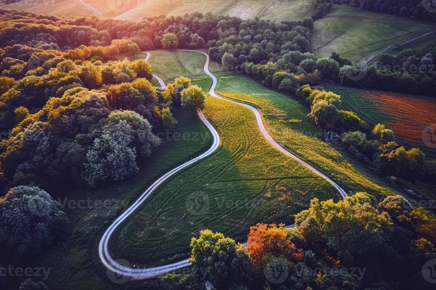 Road trip through country roads, surrounded by fields of sun-kissed crops in the height of summer photo