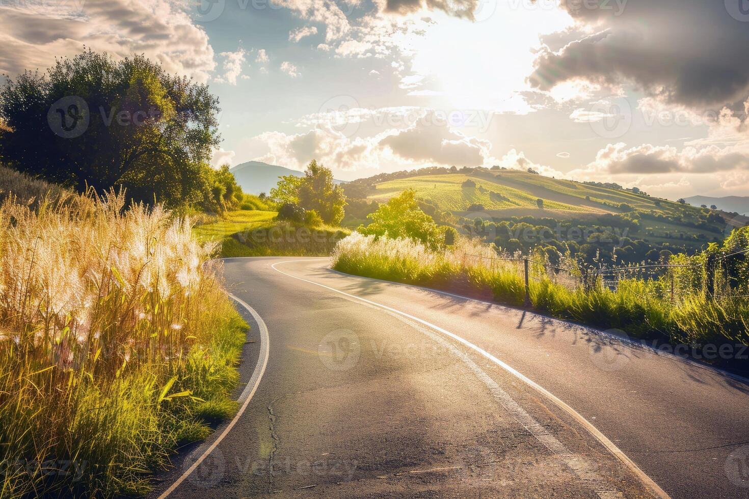 Road trip through country roads, surrounded by fields of sun-kissed crops in the height of summer photo