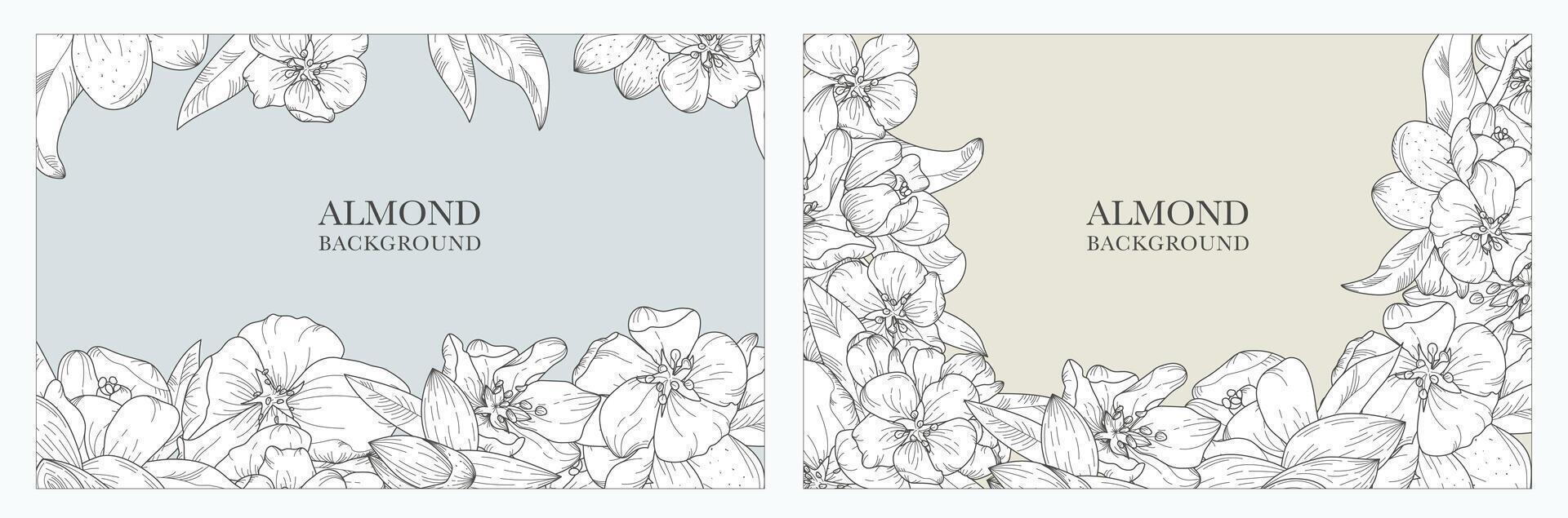 A collection of exquisite backgrounds, in a botanical style featuring blooming almond and nuts. Luxurious hand-drawn flowers. Suitable for wedding and event decorations, cards, prints, banners vector