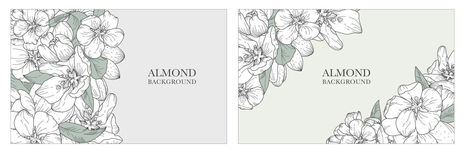 A collection of exquisite backgrounds, in a botanical style featuring blooming almond and nuts. Luxurious hand-drawn flowers. Suitable for wedding and event decorations, cards, prints, banners vector