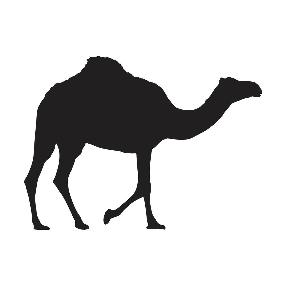 camel with silhouette vector