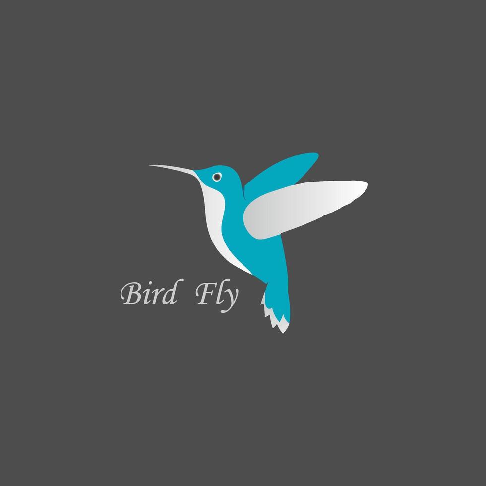 illustration minimalist logo of a hummingbird on a dark background with the text vector