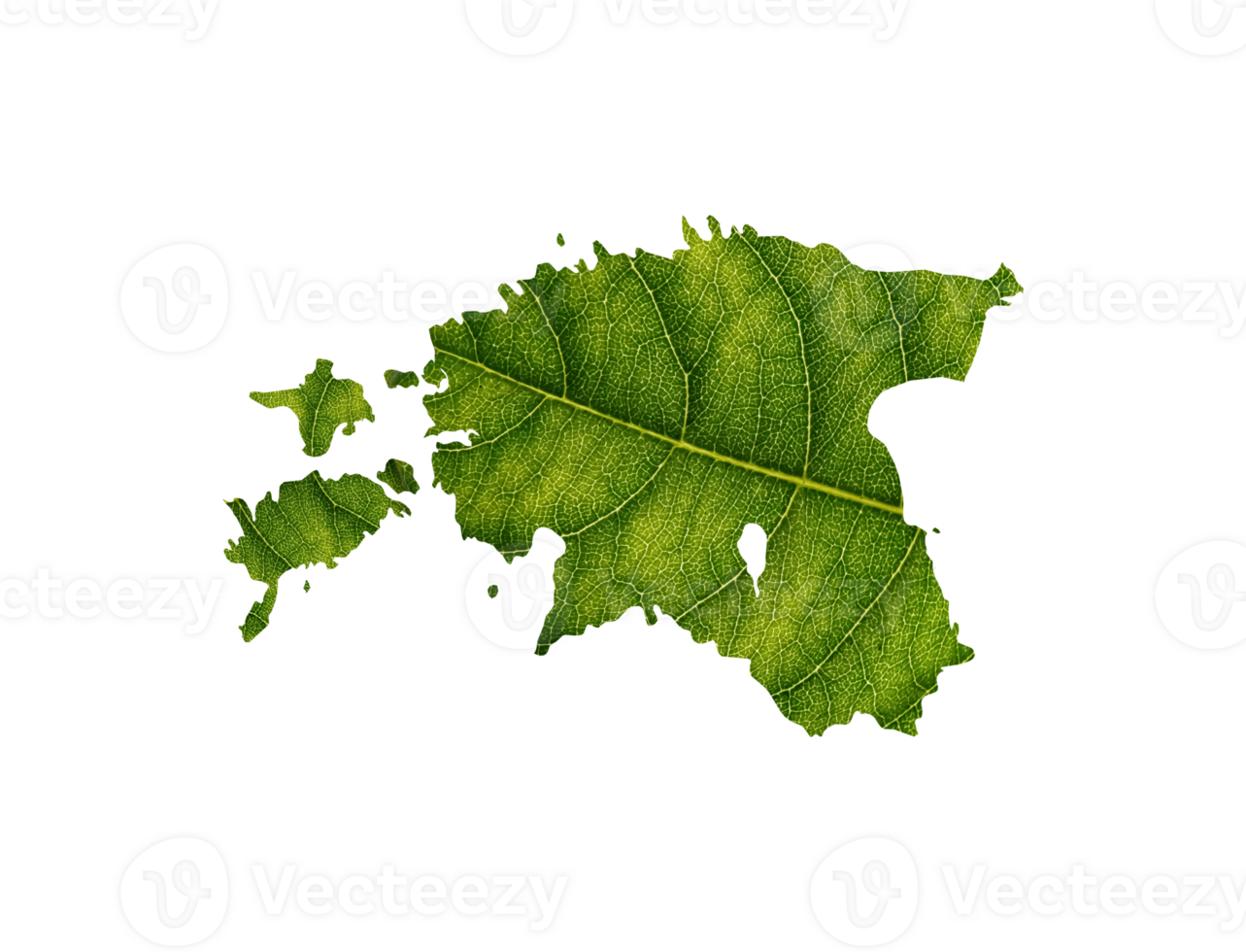 Estonia map made of green leaves ecology concept png