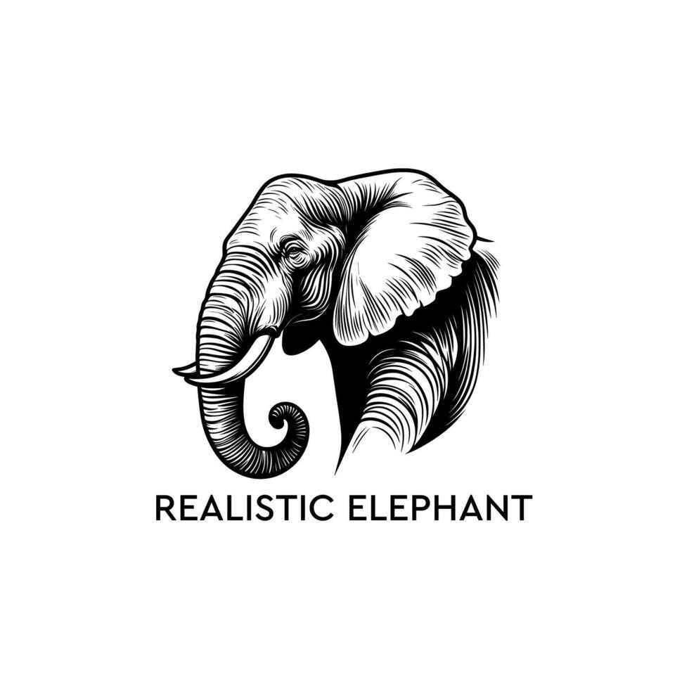 elephant outline illustration vector