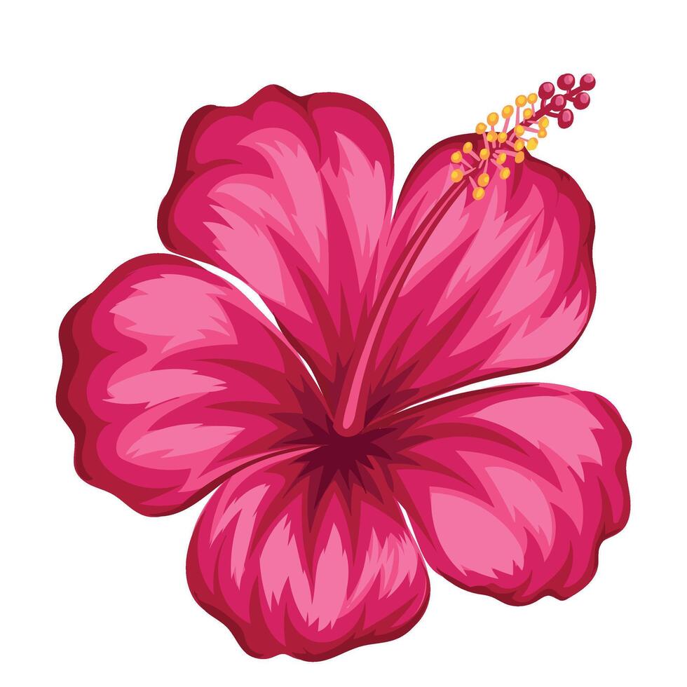 hand drawn hibiscus flower vector