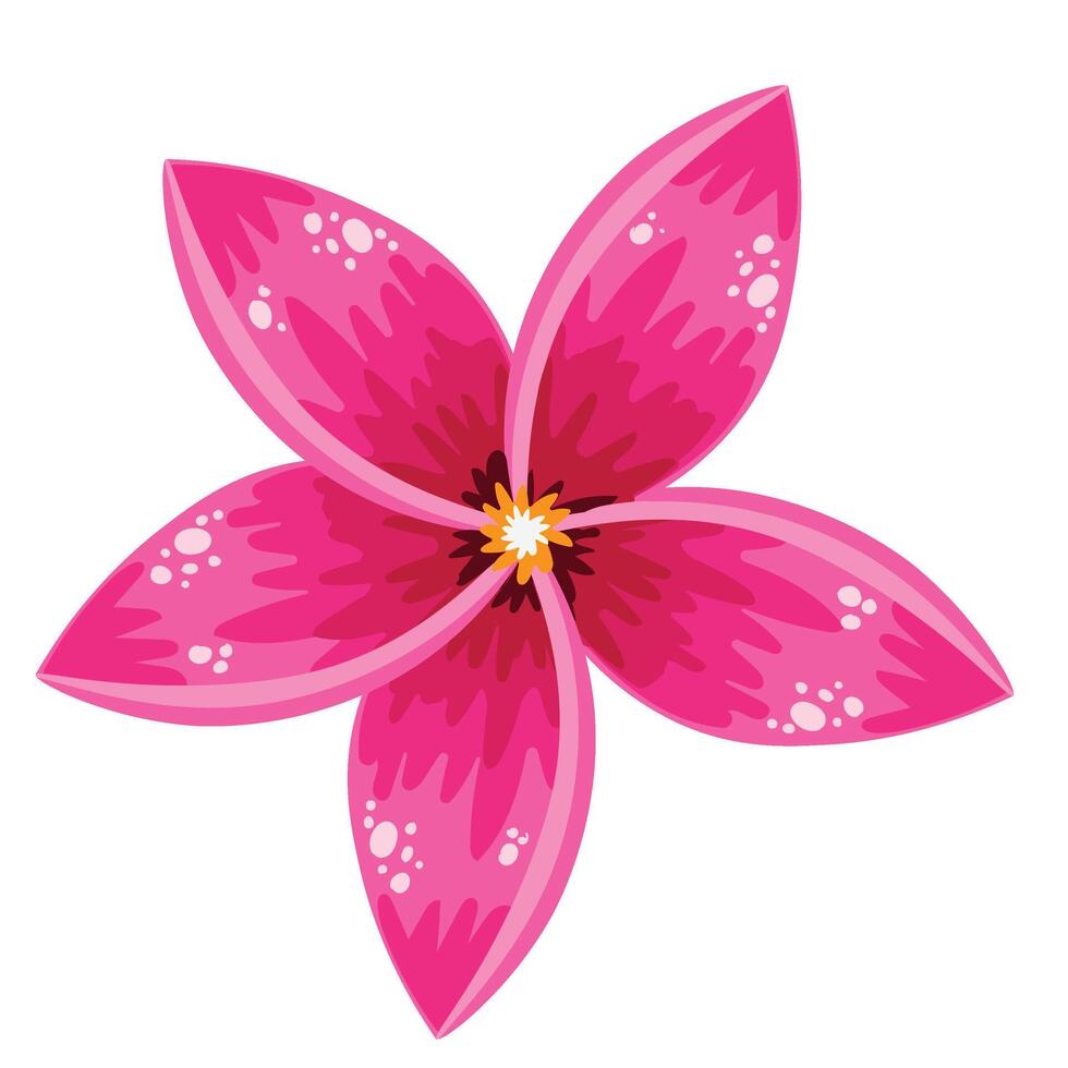 hand drawn hibiscus flower vector