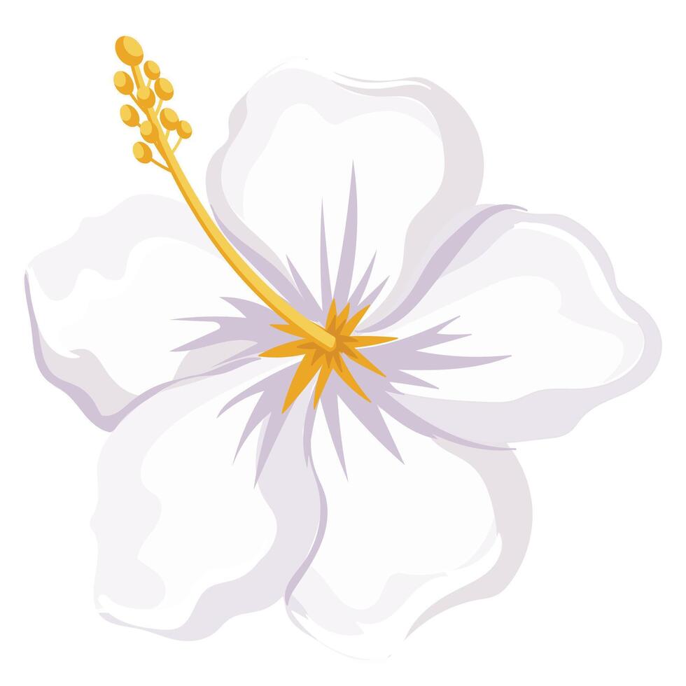 hand drawn hibiscus flower 44849229 Vector Art at Vecteezy