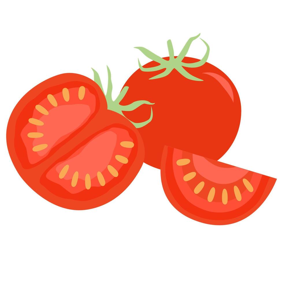rojo tomate, tomate rebanado ilustración en un blanco antecedentes vector