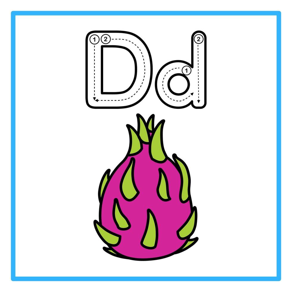 tracing alphabet flat dragon fruit illustration vector