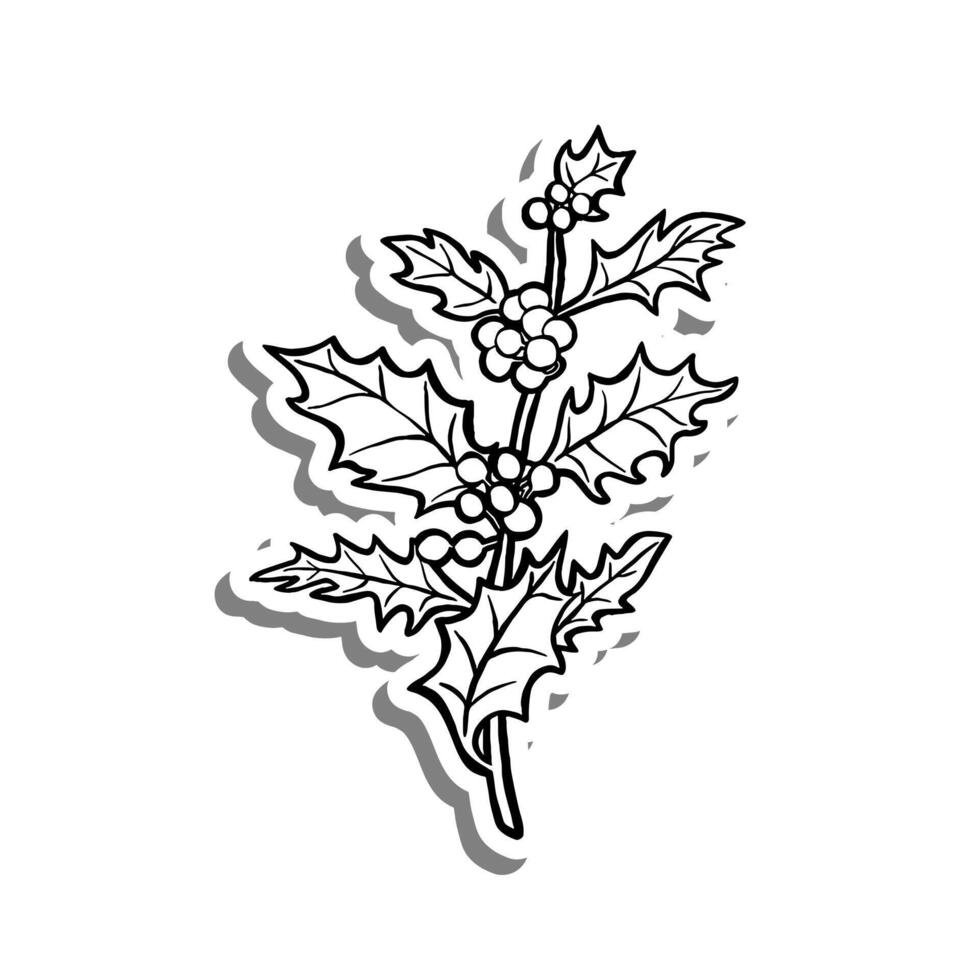 Bunch of Holly on white silhouette and gray shadow. Hand drawn cartoon style. illustration for decorate, coloring and any design. vector