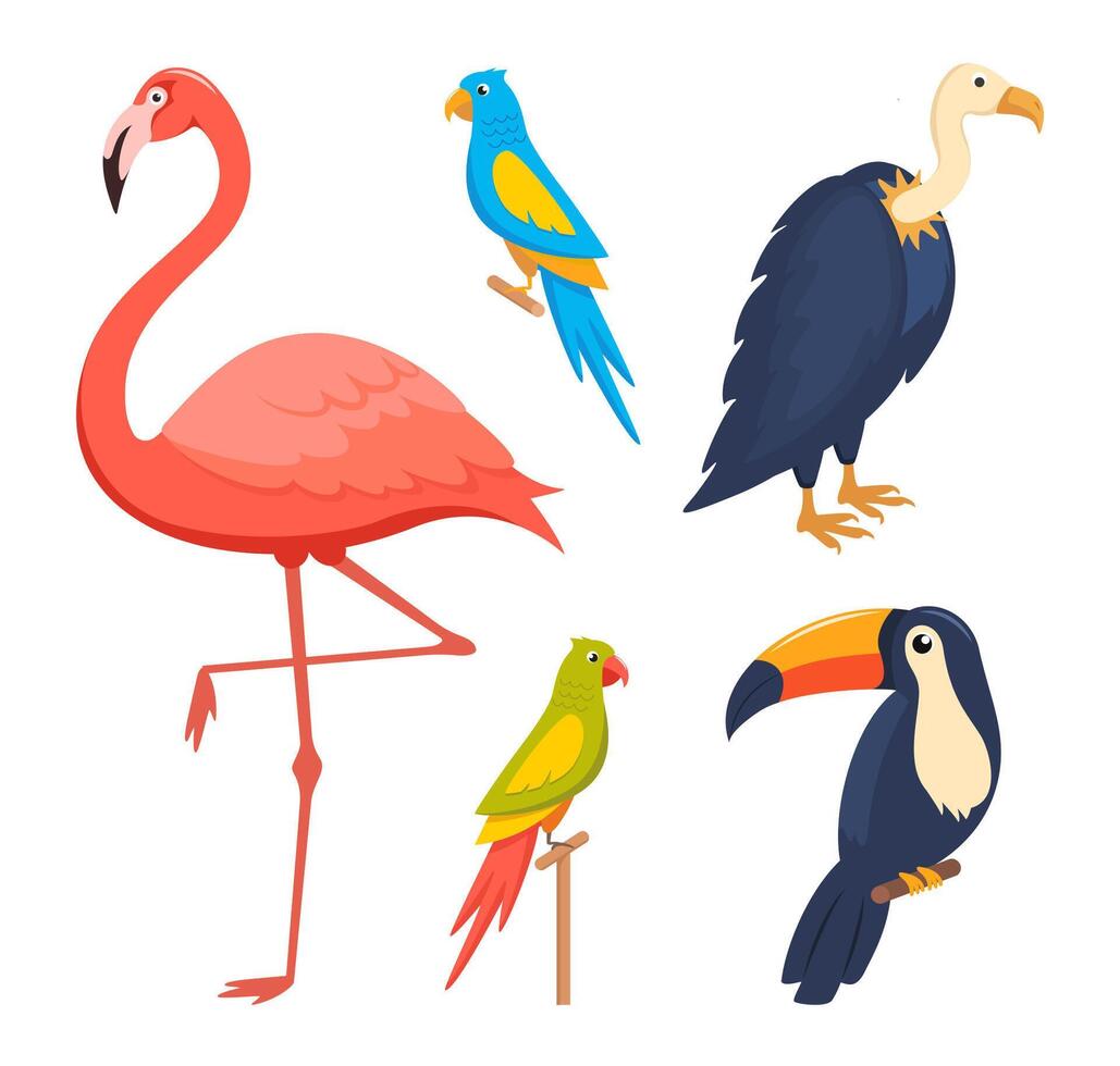 Wildlife hawaiian birds. Exotic beauty bird of tropical paradise jungle brazil or colombia, macaw parakeet, toucan, flamingo, parrots. vector