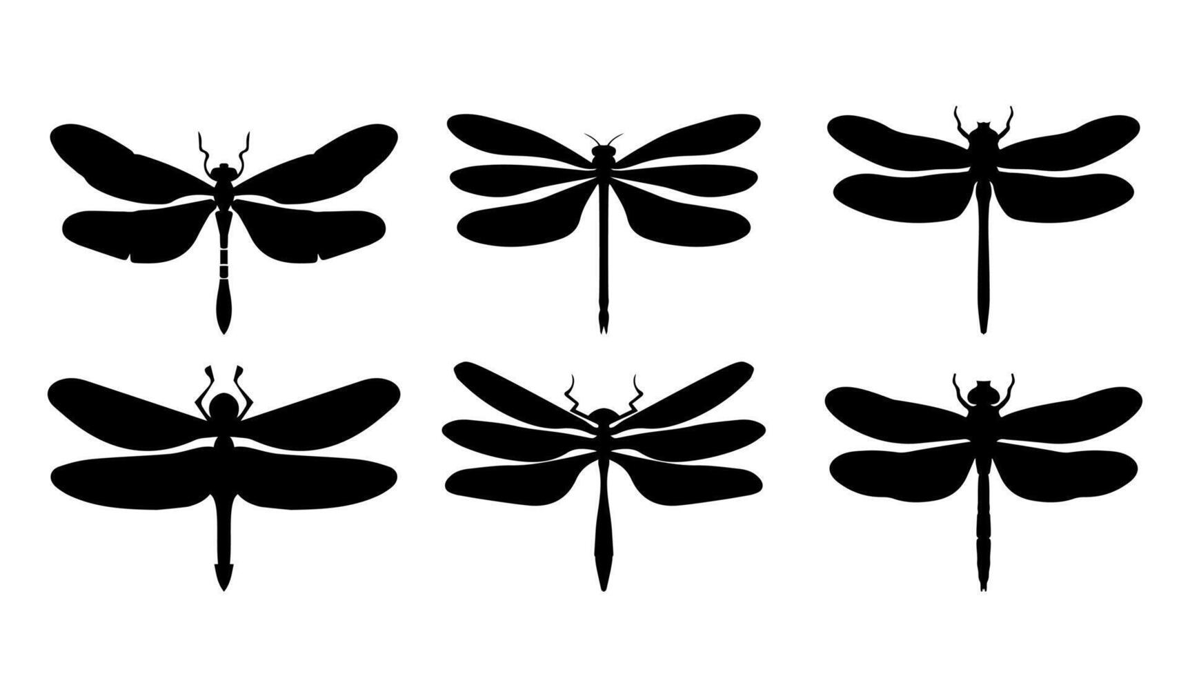 conjunto de libélula negro silueta en blanco antecedentes. insecto ilustración aislado gráfico. colección dibujo cortar fuera y elemento dibujos animados decoración acortar Arte. vector