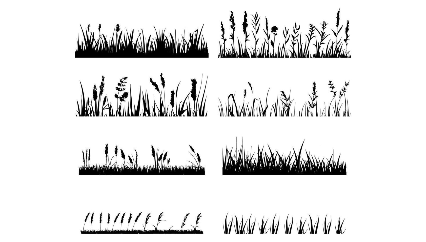 set of black grass silhouettes on white background. Nature illustration summer design and garden horizontal botany. Meadow flower cut out and organic landscape sketch. Drawing border element vector