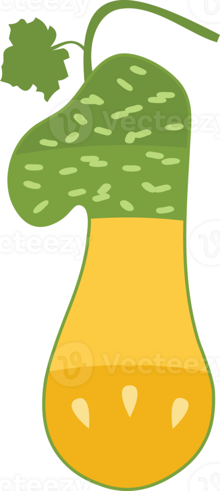 Melon Alphabets and number png