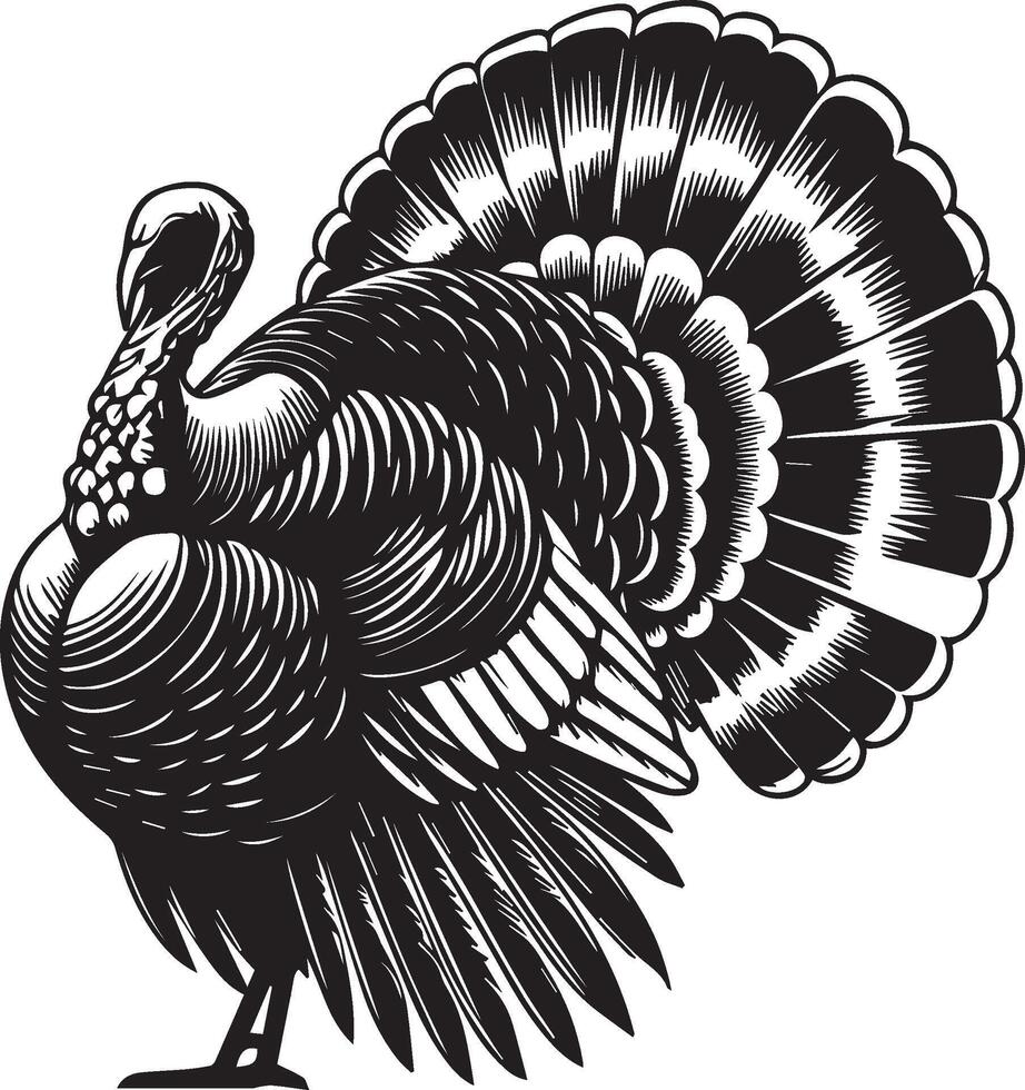 Turkey silhouette illustration isolated on white background. vector