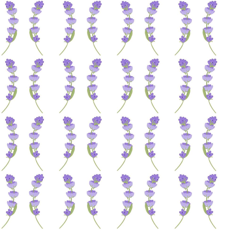 A sprig of lavender. Purple flower. Seamless pattern. illustration. vector