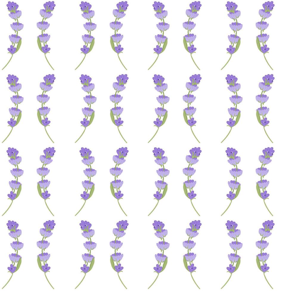 A sprig of lavender. Purple flower. Seamless pattern. illustration. vector