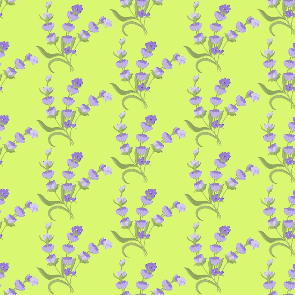 A sprig of lavender. Purple flower. Seamless pattern. illustration. vector