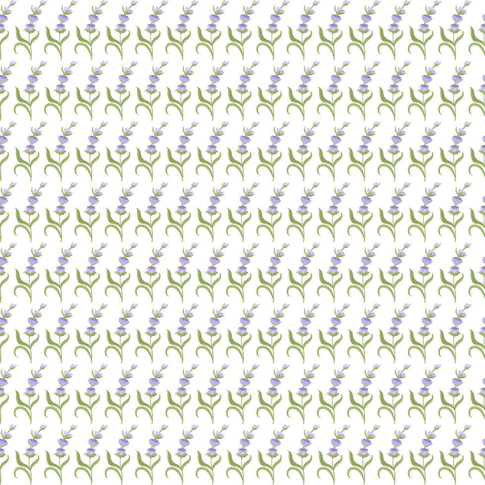 A sprig of lavender. Purple flower. Seamless pattern. illustration. vector
