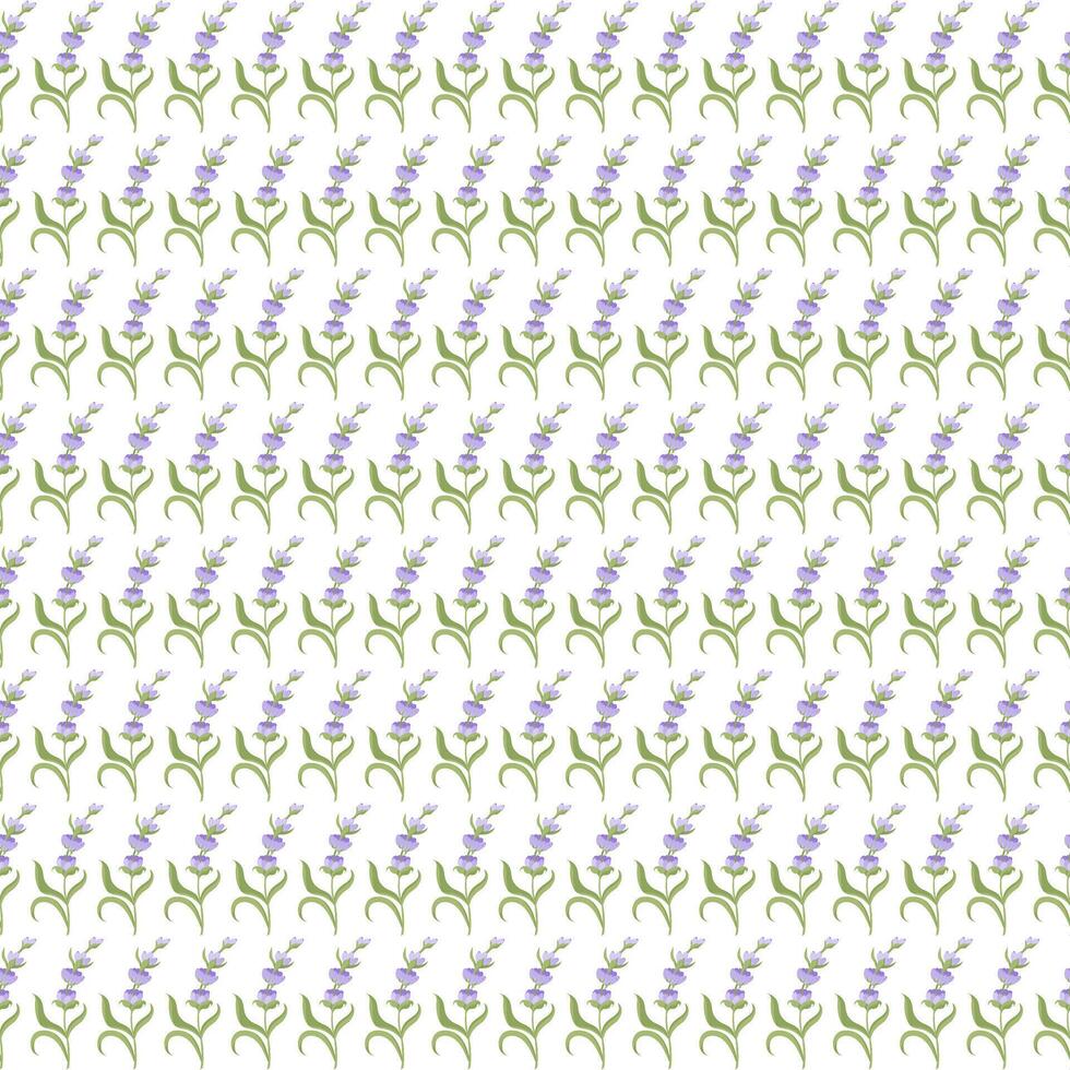 A sprig of lavender. Purple flower. Seamless pattern. illustration. vector