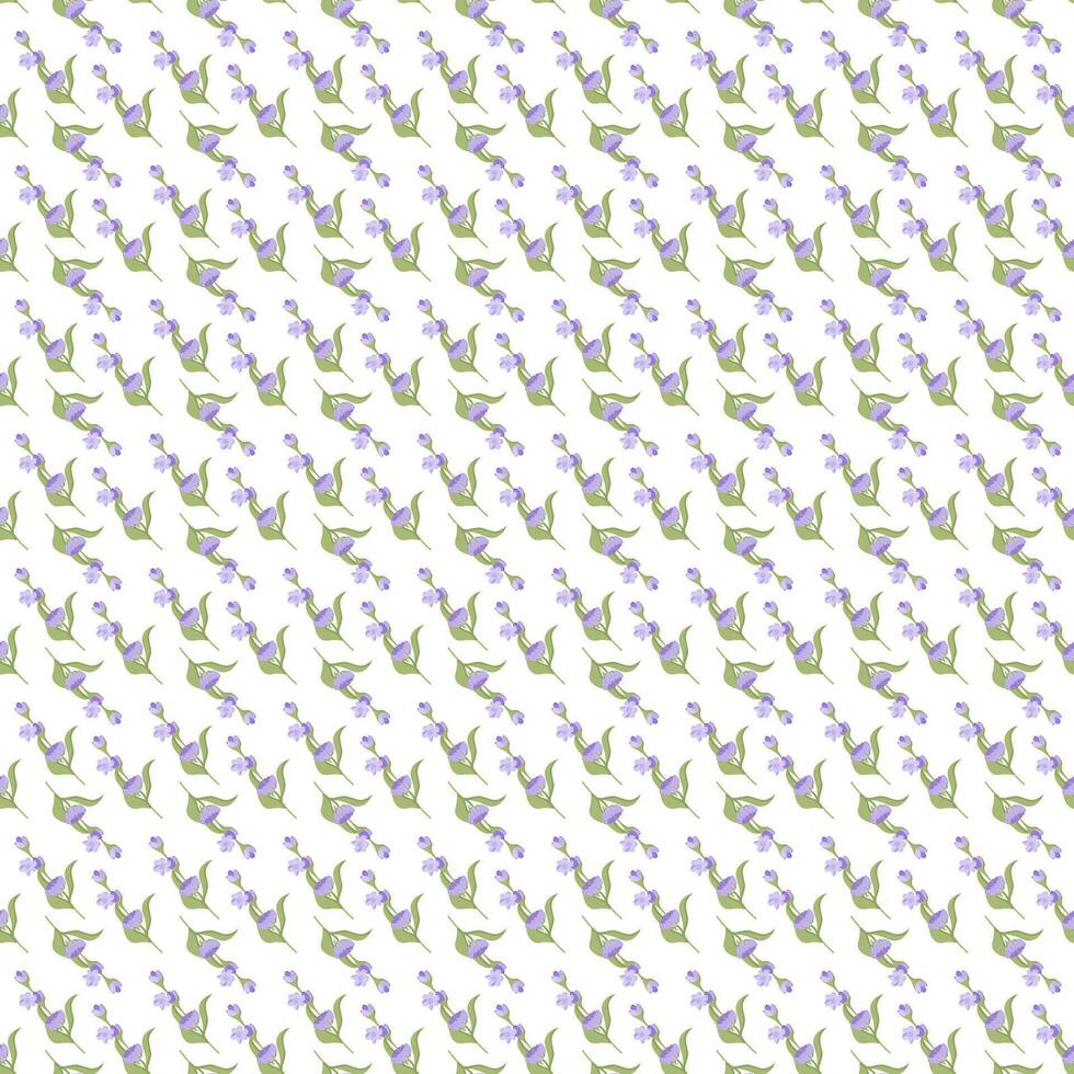 A sprig of lavender. Purple flower. Seamless pattern. illustration. vector