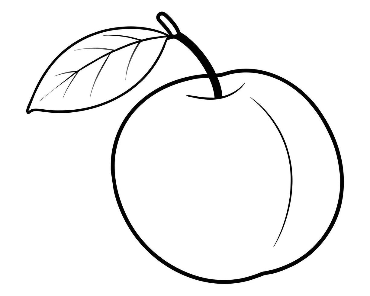 each fruit with leaf icon in outline style vector