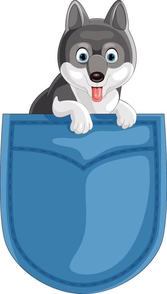Cartoon siberian husky in the pocket vector