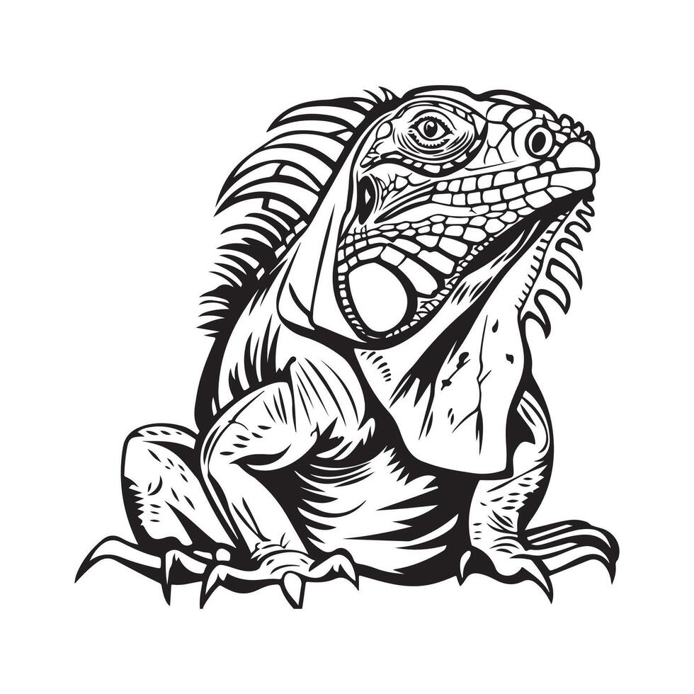 Iguana Design Art, Icons, and Graphics on white background vector