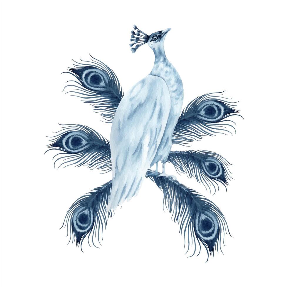 Peahen bird with peacock feathers. Blue indigo monochrome composition. Hand drawn watercolor illustration isolated on white background. Animal clip art for prints, wedding invitations, logos, cards vector