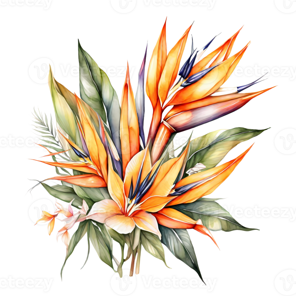 Natural beauty of colorful African tropical flowers on a transparent background png
